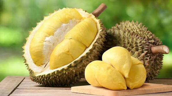 វៀតណាមឆ្ពោះទៅគោលដៅ នាំចេញផ្លែទុរេននឹងសម្រចបាន ៤ ពាន់លានដុល្លារ នៅឆ្នាំនេះ